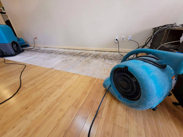 Professional Structural Drying technician working in Mount Morris, IL